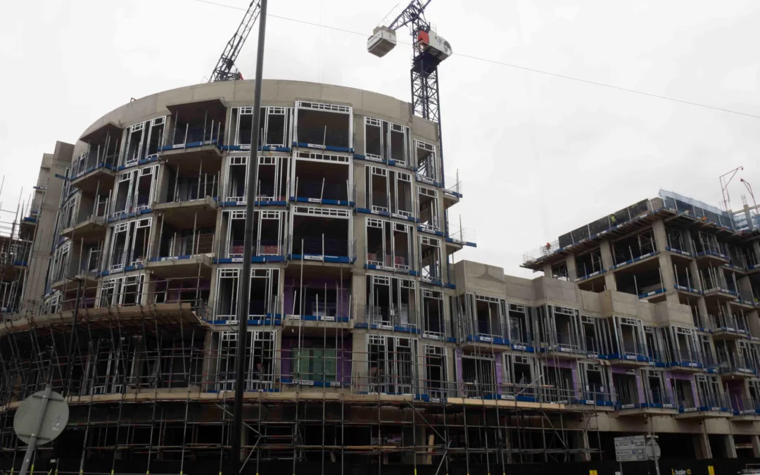 An update from site: Bell Road (April 2022)