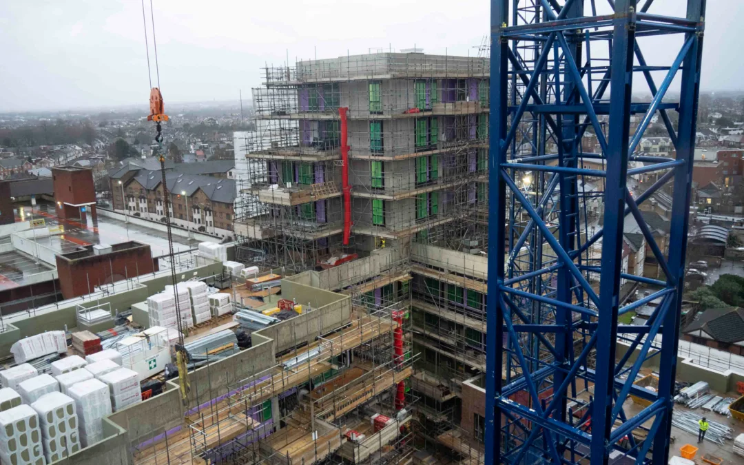 An update from site: Bell Road (January 2023)