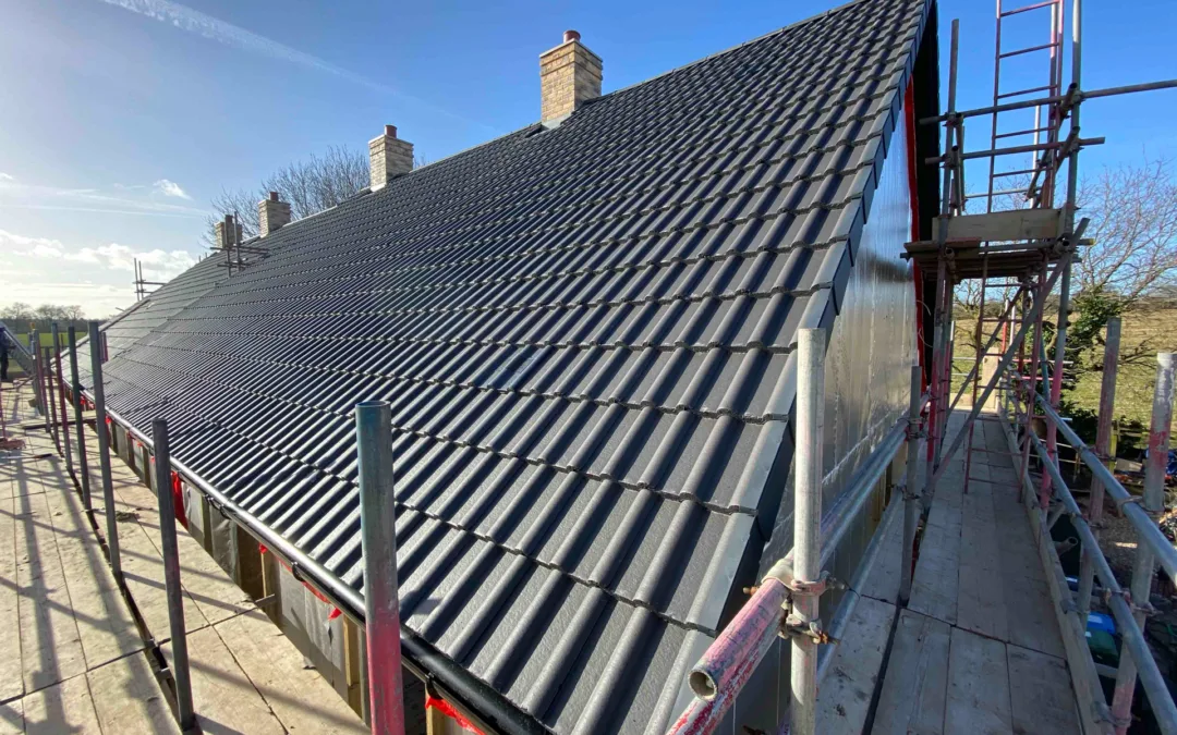 An update from site: Beechfield (February 2023)
