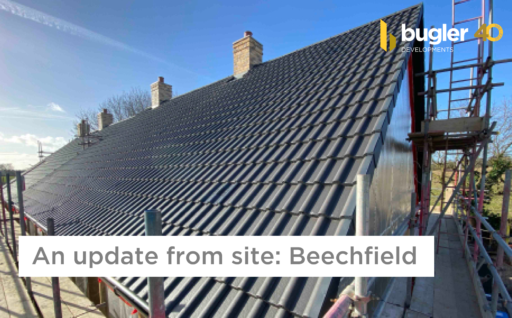 An update from site: Beechfield (February 2023)
