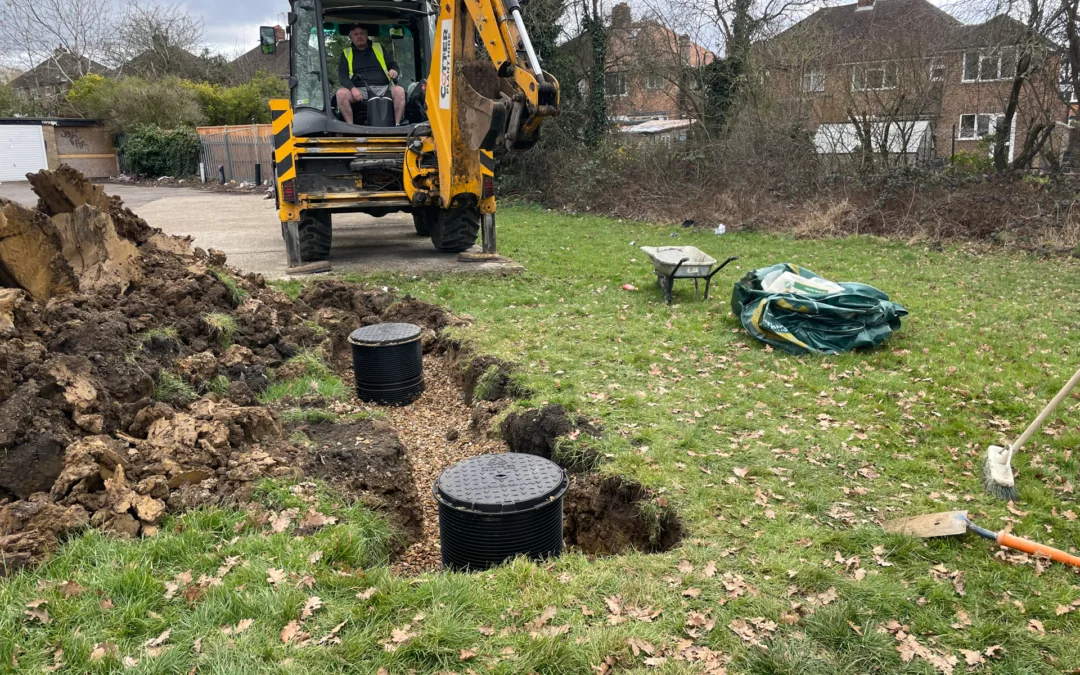 An update from site: Broadfields (March 2023)