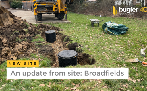 An update from site: Broadfields (March 2023)