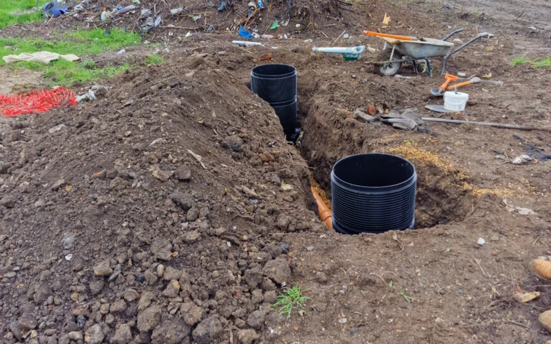 An update from site: Leyes Road (April 2023)