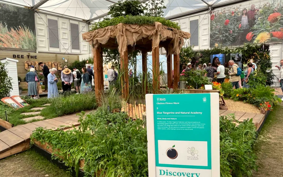 The Bugler Foundation supports The Blue Tangerine Federation at RHS Chelsea