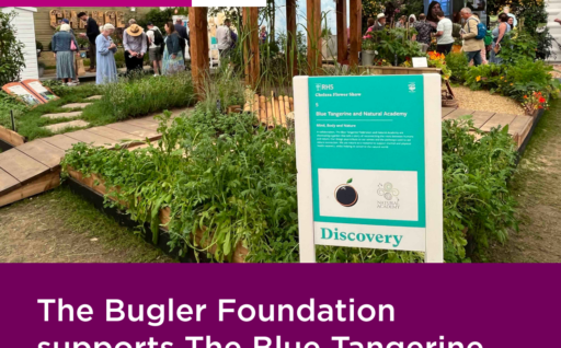 The Bugler Foundation supports The Blue Tangerine Federation at RHS Chelsea