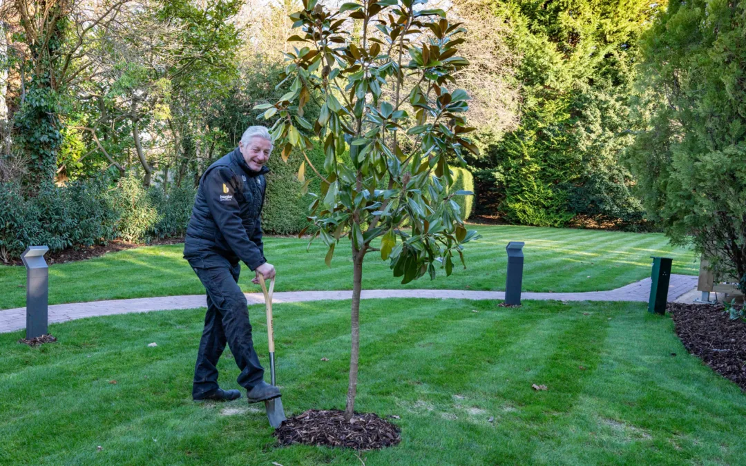 Green Lane: A focus on landscaping